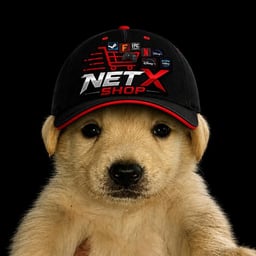 Avatar of NETXSHOP