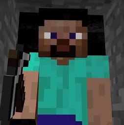 Avatar of Steve