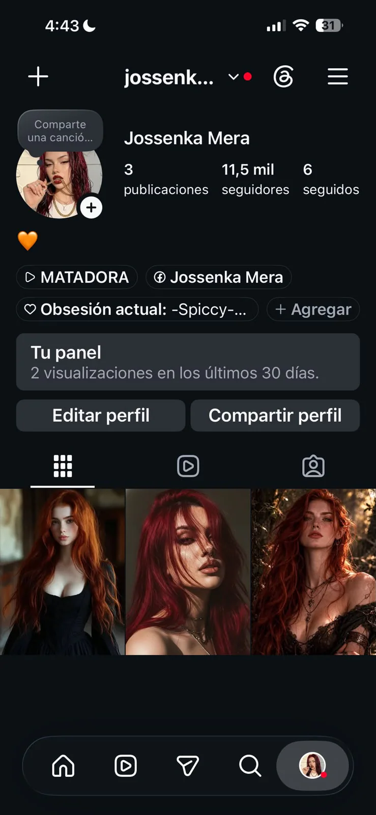 Evidencia visual de Instagram 10k